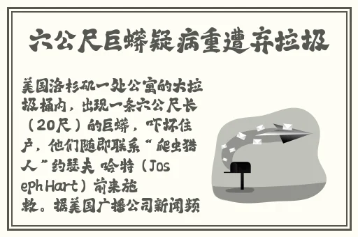 强 the癶乀pro中国
